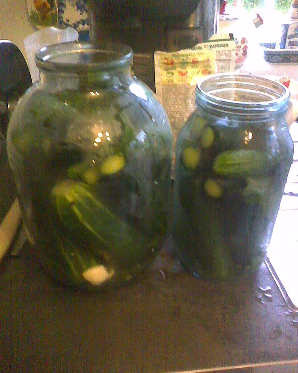 Закладка перед работой, полуторка и трешка. Хрен, сушеный укроп (укроп я посеял поздно и там нечего рвать, надо было раньше чесаться, ну да ладно, возьму сушеный), простреленный мелкими улитками хрен (лист большой), чеснок зубчики и покупной черный перец-горошек. Ну и 50 г сахара и 50 г соли на трехлитровую (по 25 на полуторку), и под конец при третьей вливке кипящего рассола 2 ст. ложки уксуса 9%.