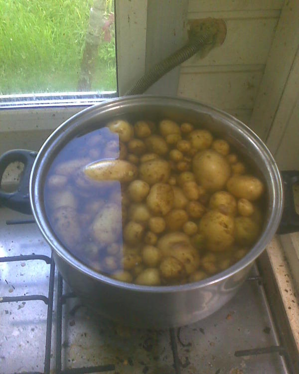 Обэд )) Что-то себе, что-то уткам. Так-то крупная есть в огороде, но её я еще не копал, пока с этим горохом бы разобраться. Ботвы уже нет, она просто росла не совсем удачно, там козы прошлись, ну и пришлось вот выкапывать. С другой не спешу, копать буду попозже. Кастрюля литров семь или восемь объемом, ну вот варю периодически. Намою на улице в тачке с водой, выловлю, и в кастрюлю.