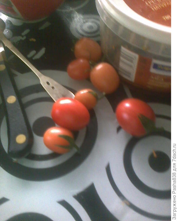 Помидоры зреют прям поштучно, по 2-3 помидорки на кусте. Это черики, маленькие такие. Северная сторона холма, что ли, помидоры здесь не спешат, к осени зреют только (даже ранние сорта).