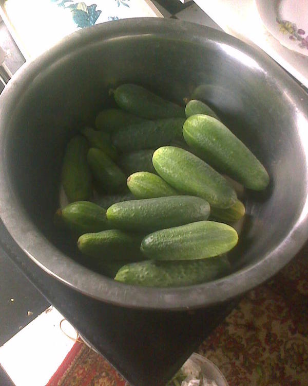 В другой теплице тоже некоторое количество, но там недавно собирал