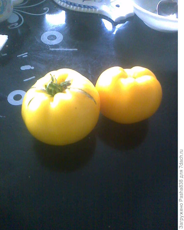Еще вот такие помидоры есть, но на лечо взял только одну, остальные едят родители )) Эти выраженно большие, вроде бычьего сердца, только желтые.
