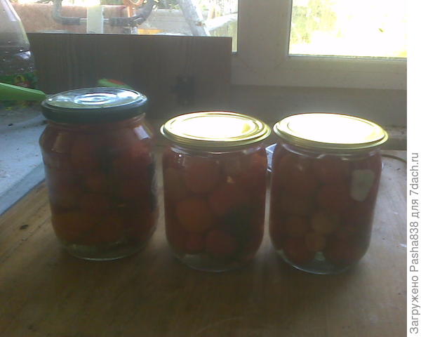 Такие вот заначки получаются. Мелкие помидорки-черики (или похожие). Стерилизация с туда-сюда переливом кипящего рассола, с добавлением уксуса под конец. Маринованные помидорки, в общем. Вроде и мелочь, а приятно будет зимой достать. Для душистости положил чеснока и укропа, и чуть перца пару зерен на баночку.