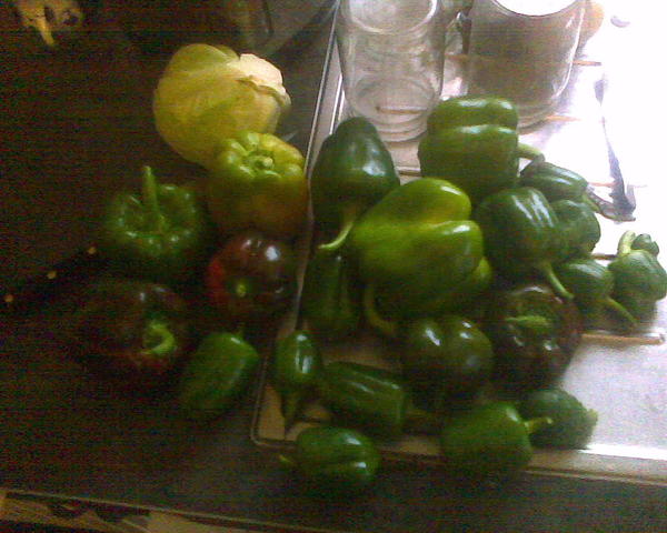 Вот вчерашнее, большие, которые я пропустил до этого, и все мелкие, потому что рассаду убирал в компост. На полу еще стоят две больших сумки этого самого перца, но их я забыл сфотографировать. Тоже весь разнокалиберный, много мелкого и крупные попадаются, несколько красных, остальные зеленые. Я думаю всю эту мелочь не полениться нафаршировать. Возня небыстрая, но мне что-то хочется еще фаршированного перца наделать. Капустина рядом - вообще-то она была больше, просто я её распустил на голубцы, это уж остаток просто лежит.