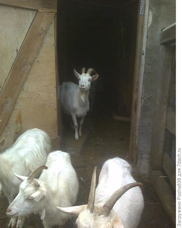 Фото в конце лета