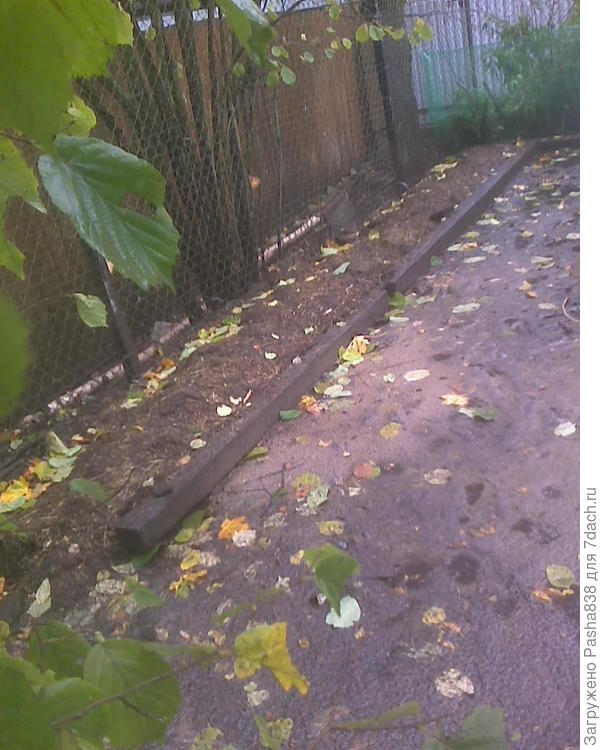 То ли восемь, то ли девять (я не помню) тачек навоза на утином выгуле. Древний. почти сгнивший б/у брус - лег в качестве бордюра, н у и туда насыпал-разложил. Весной думаю посадить туда шиповник.