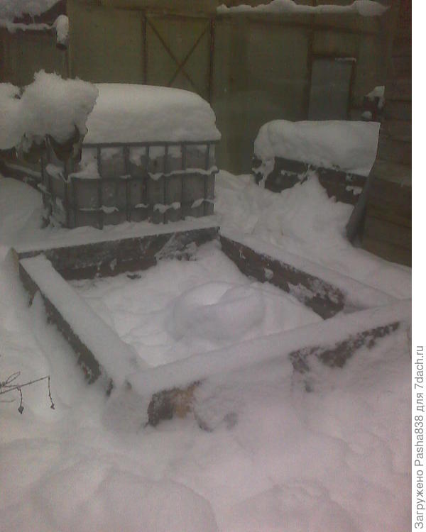 Такая вот избушка. Снег наваливает постоянно, поэтому приходится перед работой лопатой расчищать. Будь это жилым домом, подобное среди снега строительство было бы халтурой, но учитывая что это не более чем компостный ящик, а брус древний и не первой свежести - то и ладно, так сойдёт. Рядом бак для сбора воды с крыши теплицы, там вон еще один ящик виднеется, но он заполнен ботвой. К весне она, конечно, осядет еще, ну я думаю докинуть туда старого навоза и снова посадит тыкву, кабачок или патиссон. А осеннюю ботву буду выволакивать уже в этот, как раз к тому времени доделаю, думаю за зиму неспеша управиться. Высота ящика примерно метр, ну или может чуть-чуть выше, и всё. Дно просто земляное, строго говоря земля, заваленная щепками от строительства этого же самого ящика.