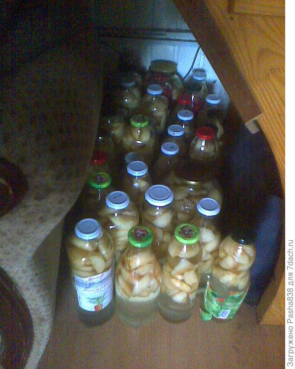 Такое вот консервирование. Бутылки из под тедиков, молока, и гранатового сока. А огурцы которые закрыл в этом году - те в погреб пошли, а не под лестницу. Я чет люблю компот в бутылках - их удобнее брать. чем банки. Правда потом это всё долго болтается у меня под столом, чуть ли не до времени, когда я соизволю собрать, отмыть и снова консервировать. Год то есть ) Как у алкоголика - пустые бутылки потом по всему дому ) Компот в основном яблочный, но некоторые бутылки с черной смородиной или крыжовником. Тут еще главное осень не прошляпить - айва японская пойдёт, вот из неё компоты самые шикарные.