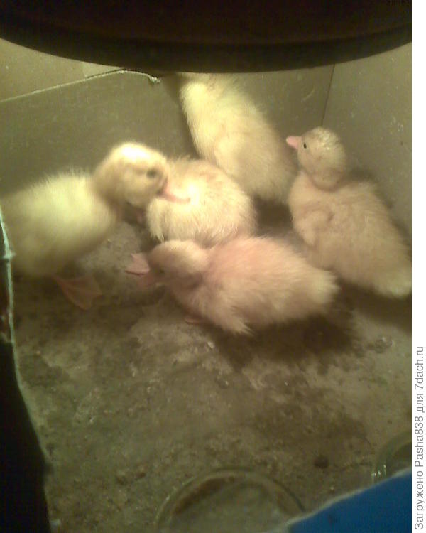 Где бы набраться коробок только, вечно мне коробок не хватает. Привык с коробками - их легче всего менять.