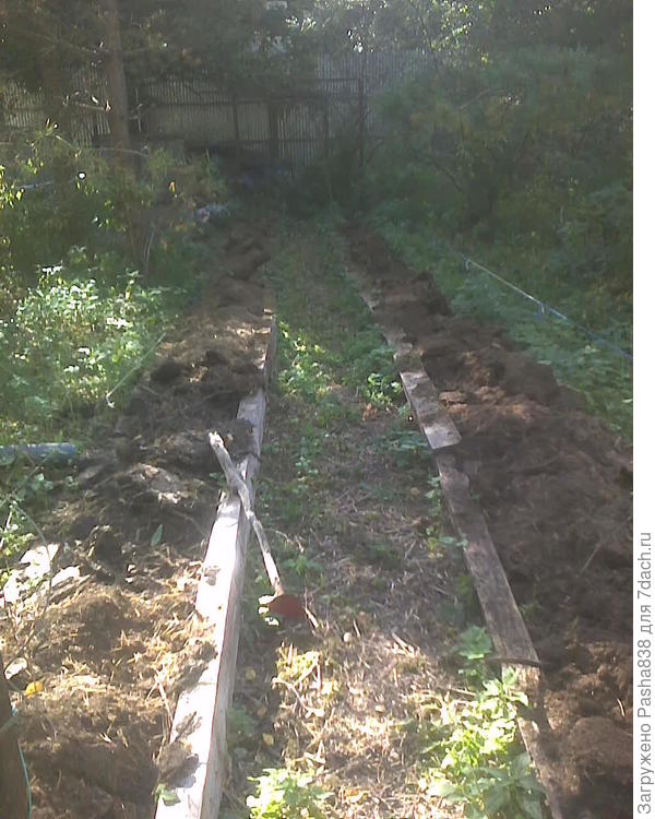 Вот, навез грядочки. Пока сплошь козий навоз, потом ввалю туда песка, торфа и золы, ну и всё на этом. В следующем году туда буду тыквы или кабачки, или патиссоны сажать. Грядки где-то метр шириной, за вычетом толщины бруса-бордюра с двух сторон. Древний гнилой брус, не пригодный уже ни на какое строительство. Когда-то очень давно этот брус был стропилами крыши соседского дома, который снесли. Ну вот, пока возил, запястье и стало ныть, вроде тачки и не особо тяжелые, но видимо много возил. Подагра даёт себя знать. Пришлось сесть опять на диету и йодом намазать там. И целекоксиб выпить.