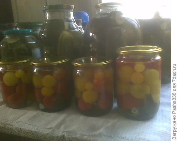 Рецепт простой - на 2 л идет где-то 34 г соли, 15 г сахара, помидорки, а вниз кладется зубчик чеснока (один большой разрезал на 4 баночки), листик черной спородины, кусочек листа хрена, несколько семян горчицы и перца, и немного укропчика. Ну и в это дело потом, под финальное кипячение маринада, добавляется уксус. Не знаю положил 5 ст. ложек на маринад, идущий в эти 4 баночки. Это немало, но я хочу именно маринованные помидоры, а не просто консервированные.