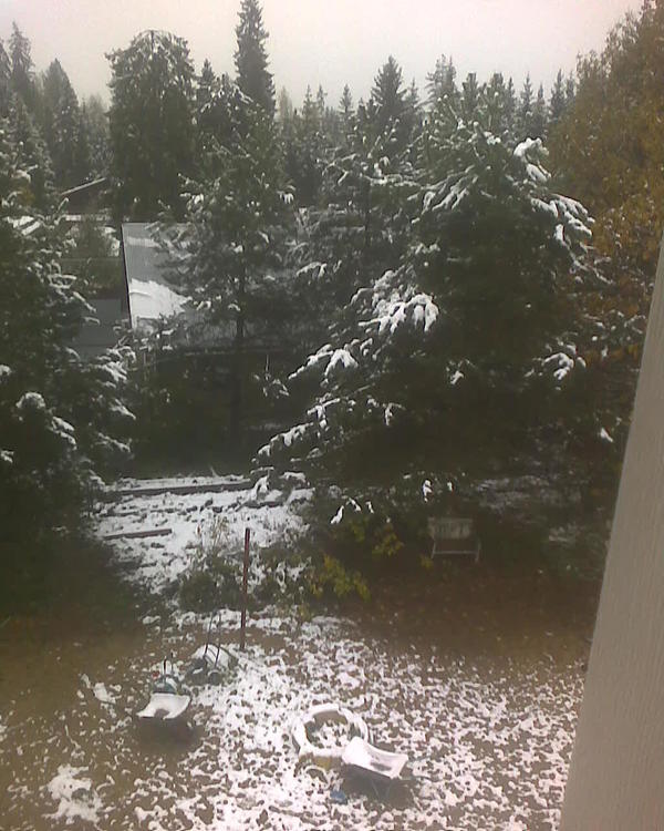 Утро. Снег потаял, а до этого везде слоем лежал. Как говорится die Winter ist da, uberall liegt Schnee )) (зазубренный текст из учебника немецкого языка для начальной школы)