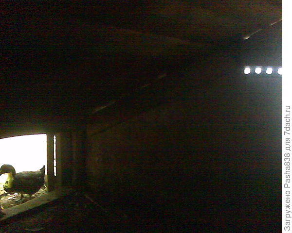 Диодная подсветка утиного сарая. 12-вольтовые светодиоды раньше были внутренней подсветкой душевой кабинки (для людей). Лет двадцать назад.