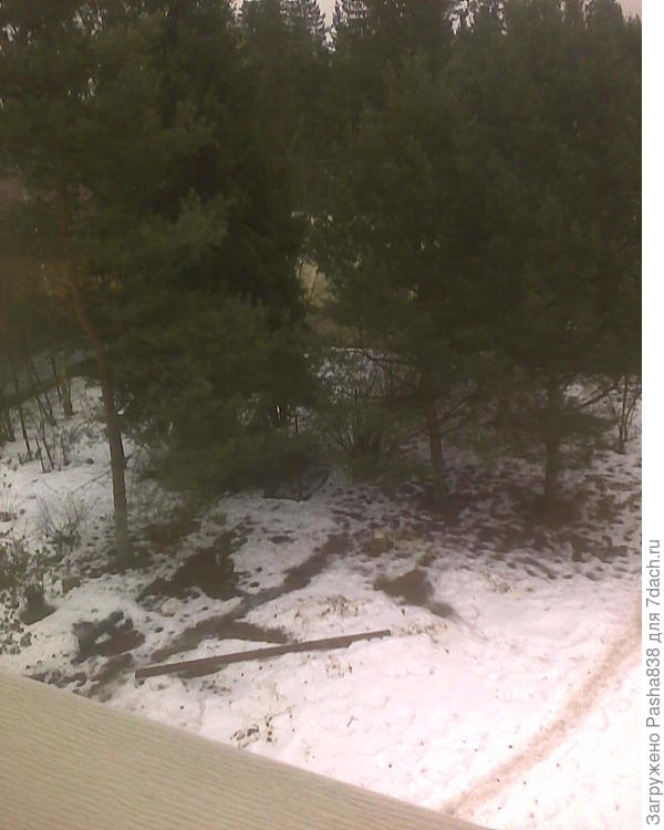 Взгляд из окна