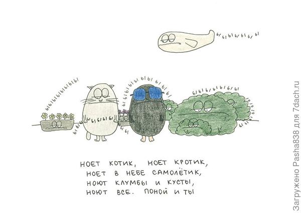 Стишок из Интернета