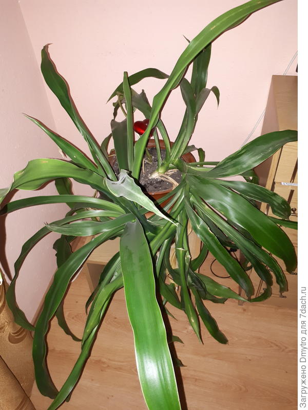 Извините, не загрузилось. Вот фото.