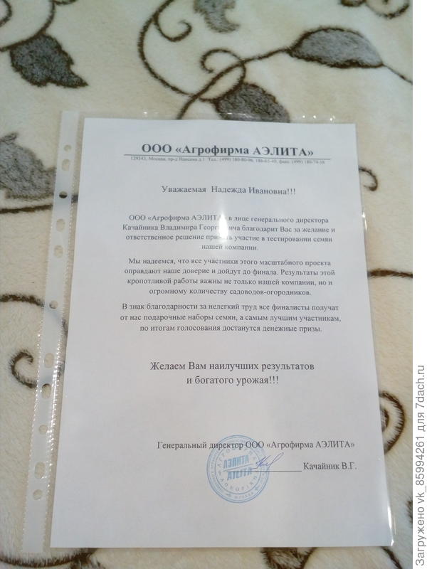 Письмо от генерального директора