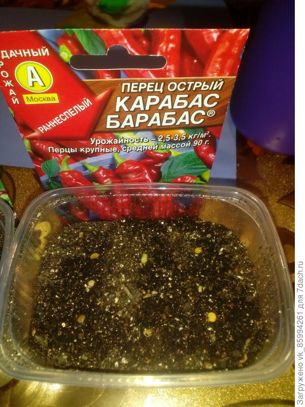 Семена посеяны...