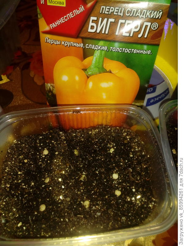 Посев семян