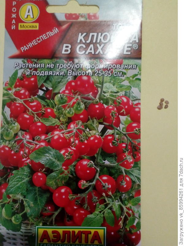На посев-5 штук.