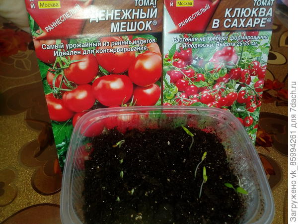 Первые петельки...