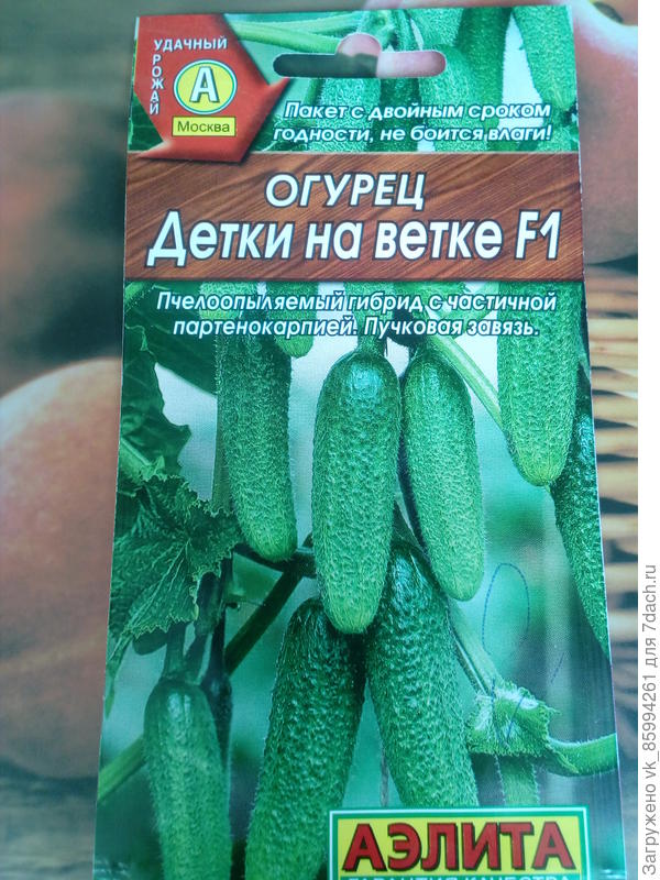 аапр