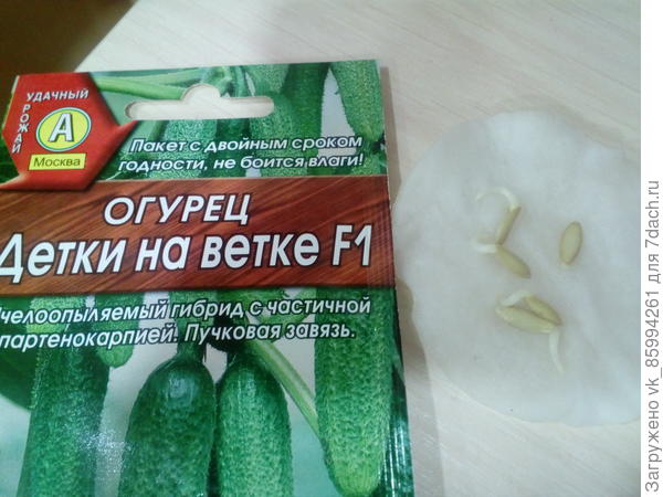 апапрр