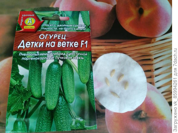 авппо
