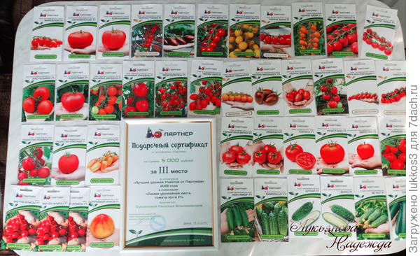 Шикарный подарок!