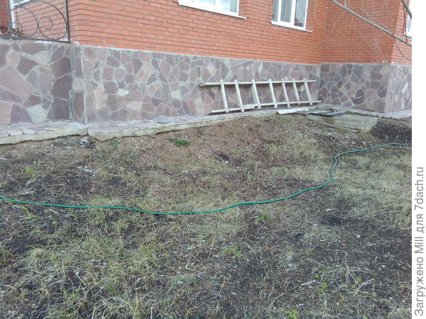 "Старшланг" - незаменимый инструмент для разметки клумб