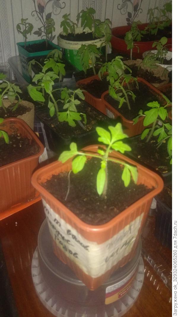 Вот такие мы сейчас