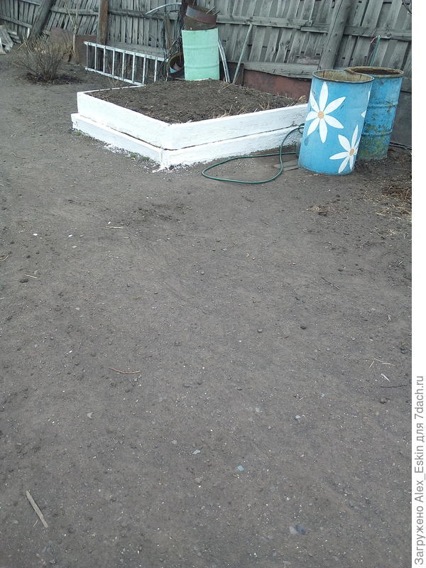 вторая готова к посадке кабачков и тыквы