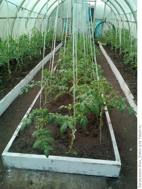 подвязка,конечно,колхозная,переделывать некогда было....