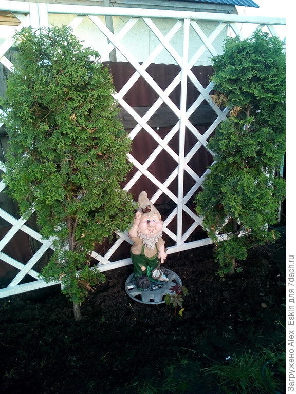 две широких,за моими любимицами...