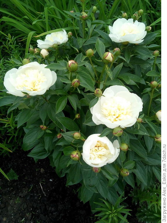 жаль,только один сфотографировал