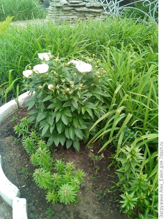 подставку и не видно