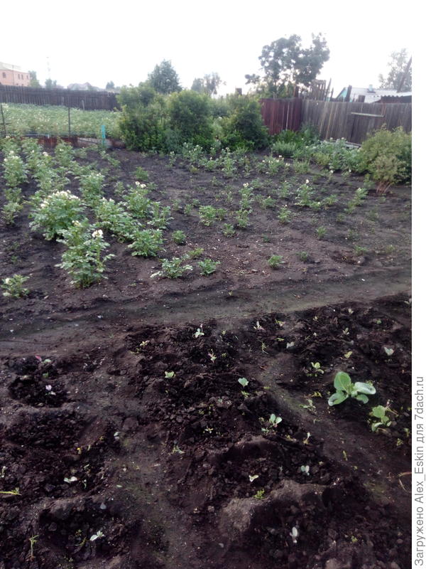 фото в этот день