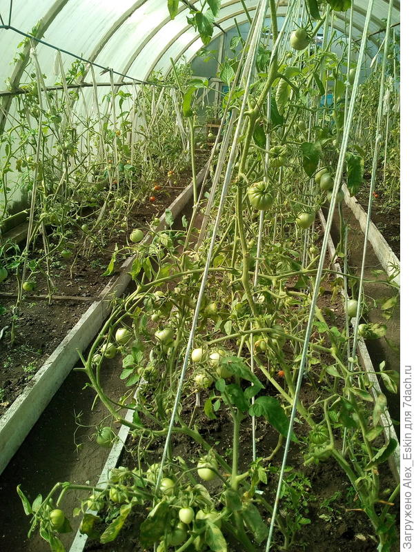 после обрезки