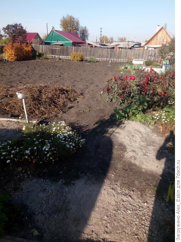 картофель убран