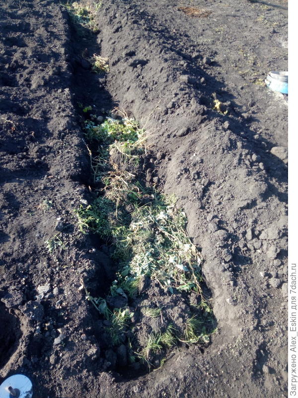 траншея под тёплую грядку