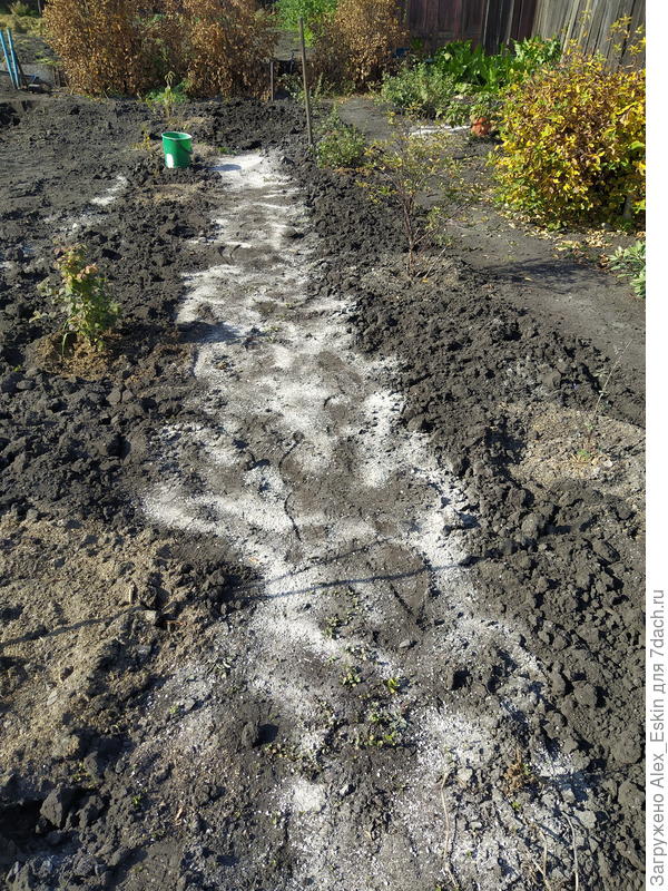 готовлю к перекопке