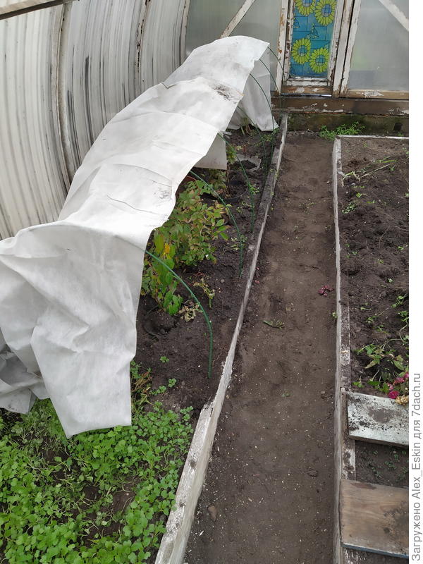 вот такой &quot;детский сад&quot;...