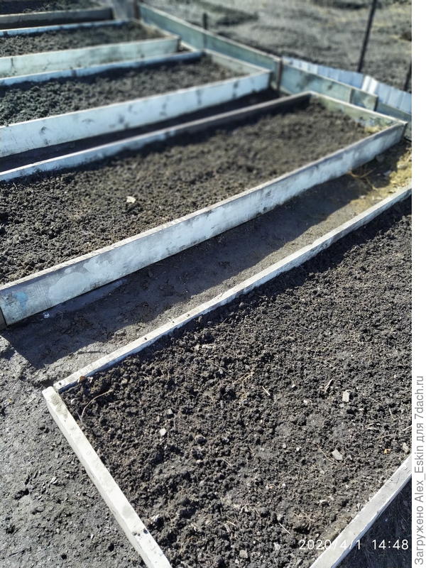 4 грядки готовы