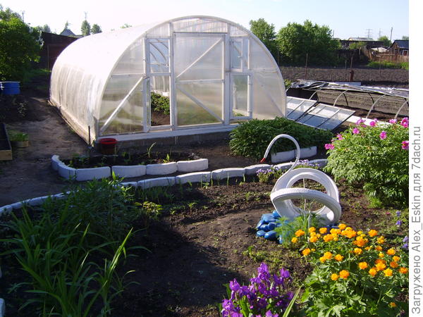 края поликарбоната в теплице. теплица из монолитного поликарбоната. края поликарбоната в теплице. края поликарбоната в теплице. как вывести трубу в поликорбанатовой теплице.