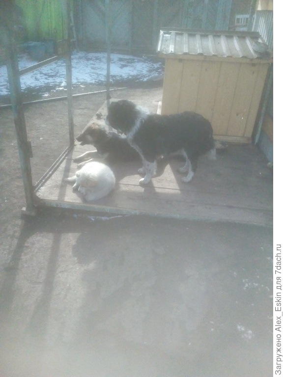 вся большая семья