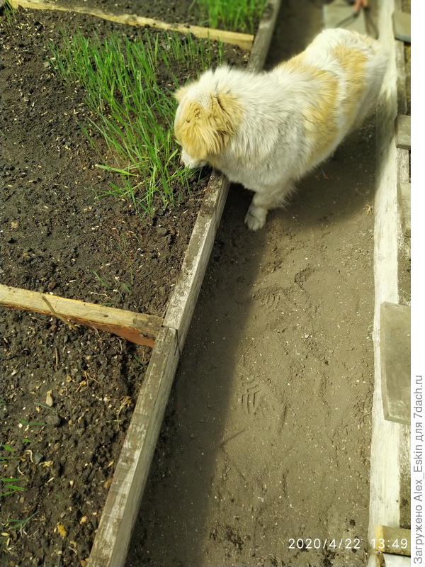 это моя забава-Маргошка