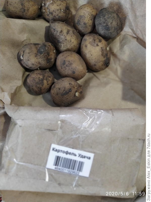 Удача,очень мелкая