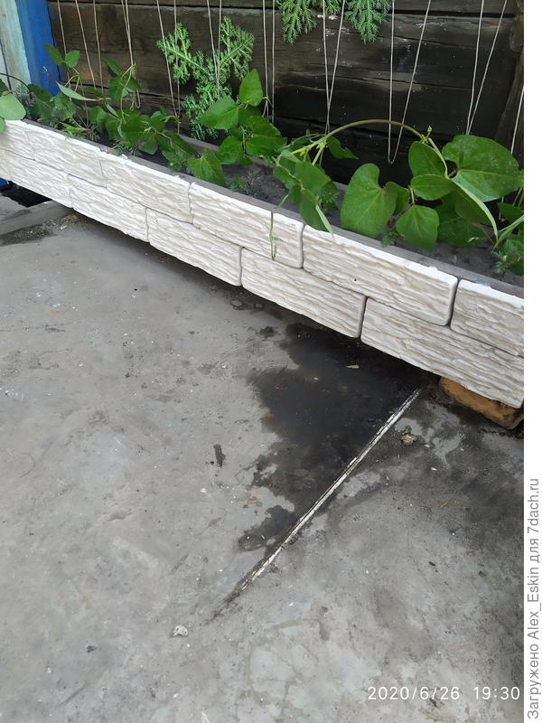 заодно ящик под вьюны облагородил