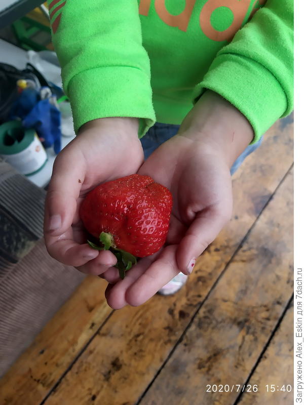 вот такой размерчик