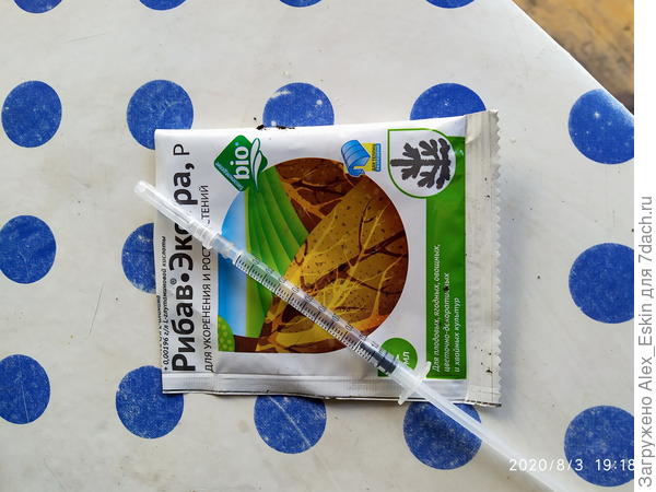 пересаженную поливаю Рибав-Экстра