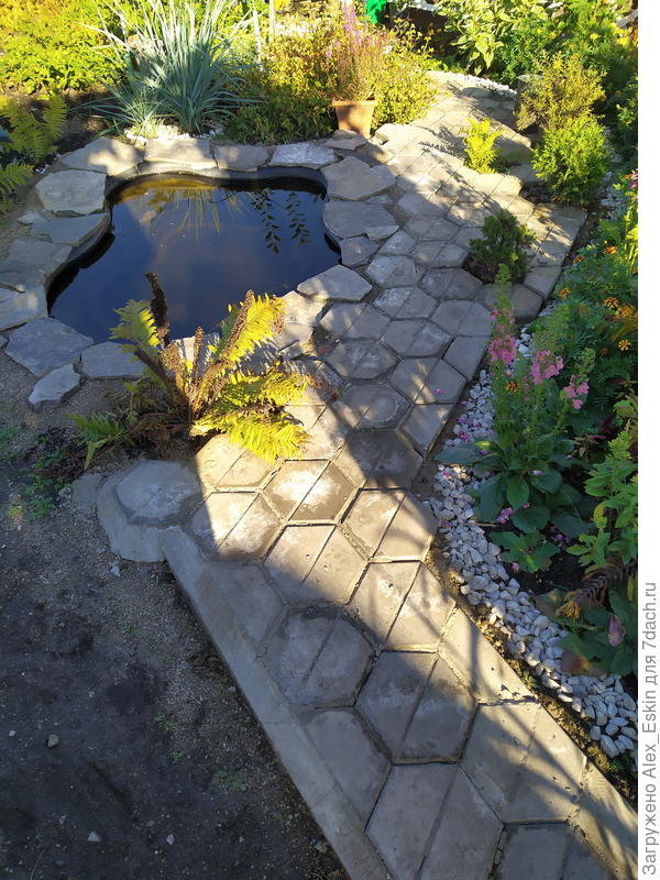 слева место не освоено,картошку посадил